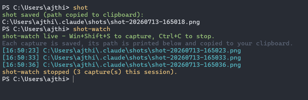 Windows screenshot terminal tool for Claude agents